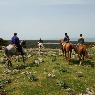 Escursione a cavallo