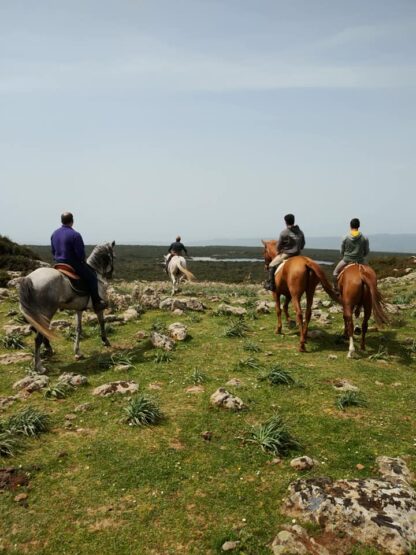 Escursione a cavallo