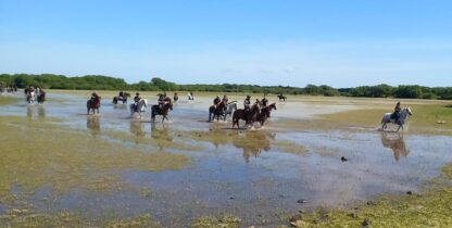 Escursione a cavallo - immagine 5