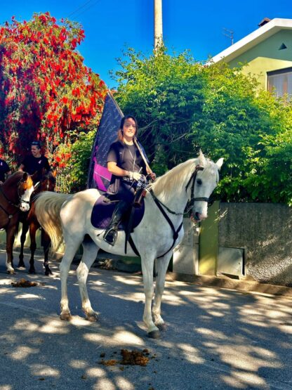 Escursione a cavallo - immagine 4