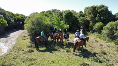 Escursione a cavallo - immagine 8
